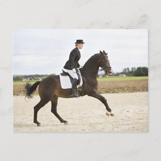 Carte Postale cavalier féminin exerçant 2 (Devant)
