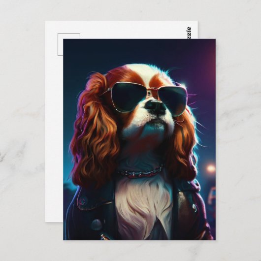 Carte Postale cavalier king charles dans la rue avec un blouson  (Devant / Derrière)