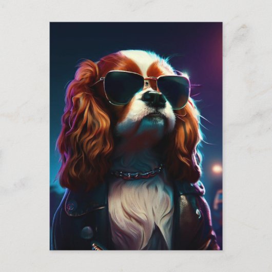 Carte Postale cavalier king charles dans la rue avec un blouson  (Devant)