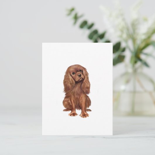 Carte Postale Cavalier King Charles - Ruby (Debout devant)