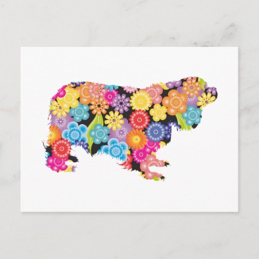 Carte Postale Cavalier King Charles Spaniel (Devant)