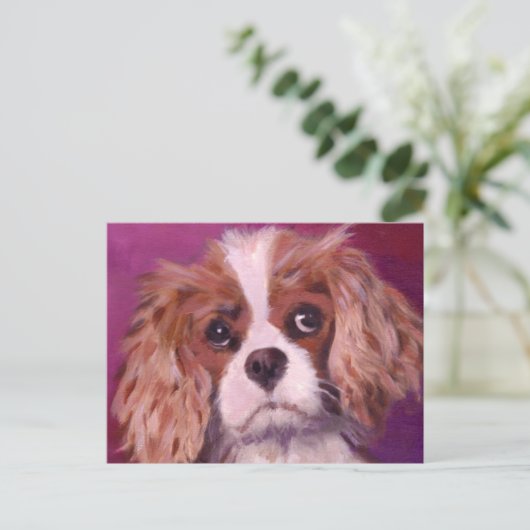 Carte Postale Cavalier King Charles Spaniel (Debout devant)
