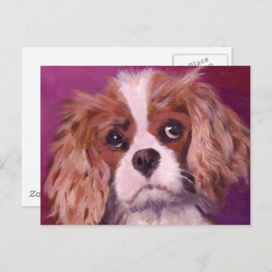 Carte Postale Cavalier King Charles Spaniel (Devant / Derrière)