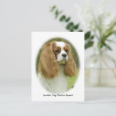 Carte Postale Cavalier King Charles Spaniel (Debout devant)