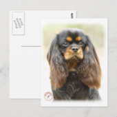 Carte Postale Cavalier King Charles Spaniel 9F51D-03 (Devant / Derrière)