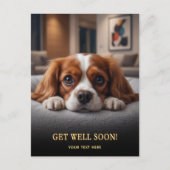 Carte Postale Cavalier King Charles Spaniel Adorable Bon Rétabli (Devant)