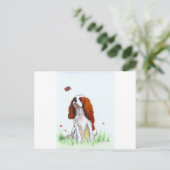 Carte Postale Cavalier King Charles Spaniel CKC (Debout devant)