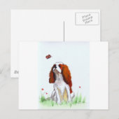 Carte Postale Cavalier King Charles Spaniel CKC (Devant / Derrière)