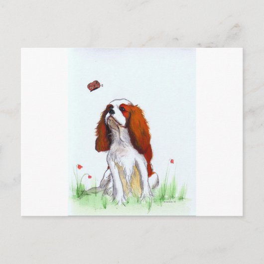 Carte Postale Cavalier King Charles Spaniel CKC (Devant)