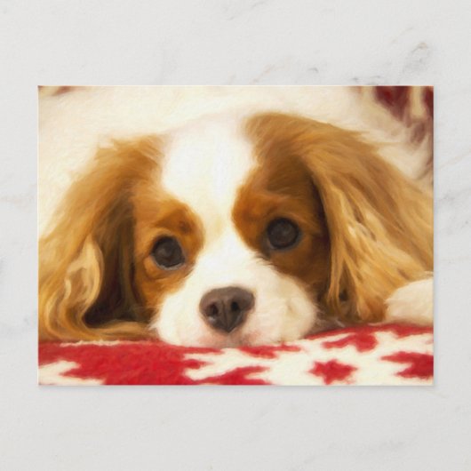 Carte postale Cavalier King Charles Spaniel flocon (Devant)