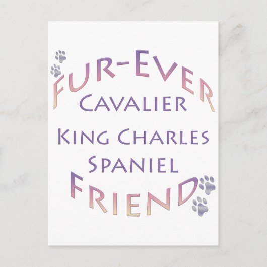 Carte Postale Cavalier King Charles Spaniel Furever (Devant)