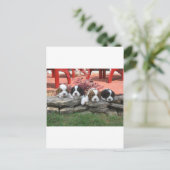 Carte Postale Cavalier King Charles Spaniel Litter (Debout devant)