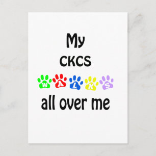 Carte Postale Cavalier King Charles Spaniel Marches Design