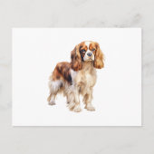 Carte Postale Cavalier King Charles Spaniel print Dog art print (Devant)
