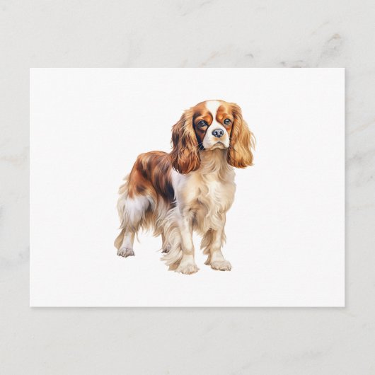 Carte Postale Cavalier King Charles Spaniel print Dog art print (Devant)