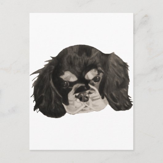 Carte Postale Cavalier King Charles Spaniel Puppy (Devant)