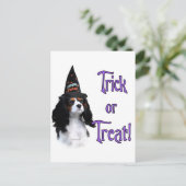 Carte Postale Cavalier King Charles Spaniel Trick (Debout devant)