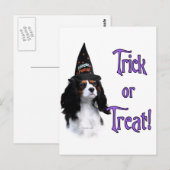 Carte Postale Cavalier King Charles Spaniel Trick (Devant / Derrière)