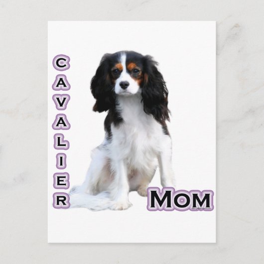 Carte Postale Cavalier Maman 4 (Devant)