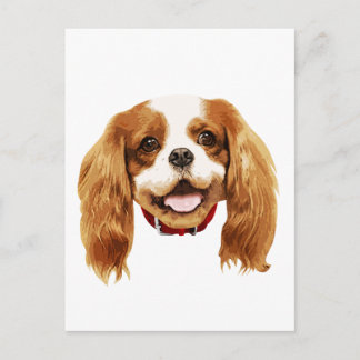 Carte Postale CavalierKingCharlesSpaniel_Epagneul face002