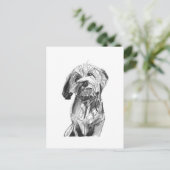 Carte postale Cavapoo – Illustration de chien au f (Debout devant)