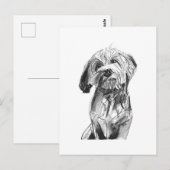 Carte postale Cavapoo – Illustration de chien au f (Devant / Derrière)