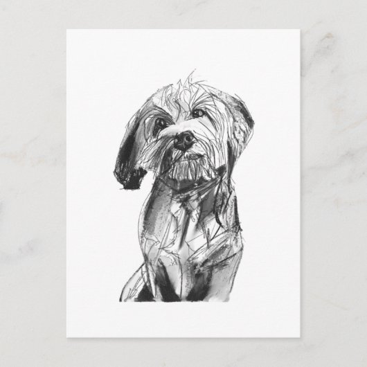 Carte postale Cavapoo – Illustration de chien au f (Devant)