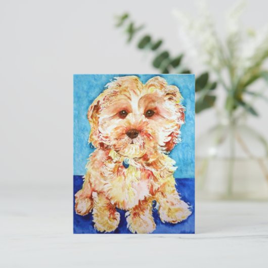 Carte Postale Cavapou "Ollie". (Debout devant)