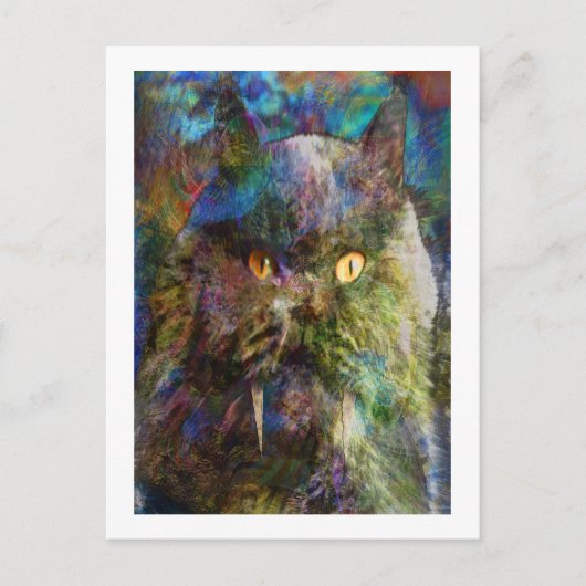 Carte Postale Cave Cat (Devant)