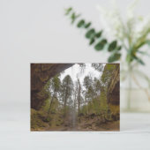 Carte Postale Cave de cendres, Hocking Hills State Park, Ohio (Debout devant)