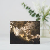 Carte Postale Cavernes Carlsbad (Debout devant)