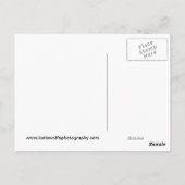 Carte Postale Cavernes Carlsbad (Dos)