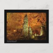 Carte Postale Cavernes Carlsbad (Devant)