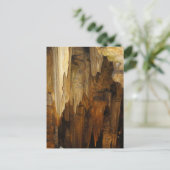 Carte Postale Cavernes Luray (Debout devant)