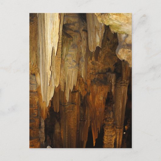 Carte Postale Cavernes Luray (Devant)