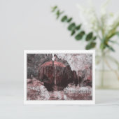 CARTE POSTALE CAVERTURES CARLSBAD - NOUVELLE COULEUR D'EAU MEXIQ (Debout devant)