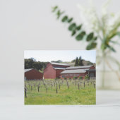 Carte Postale Caves Dark Star à Paso Robles, CA (Debout devant)