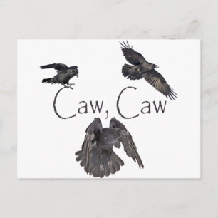 Carte Postale Caw Caw