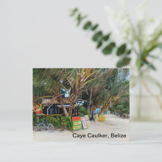 Carte postale Caye Caulker (Debout devant)