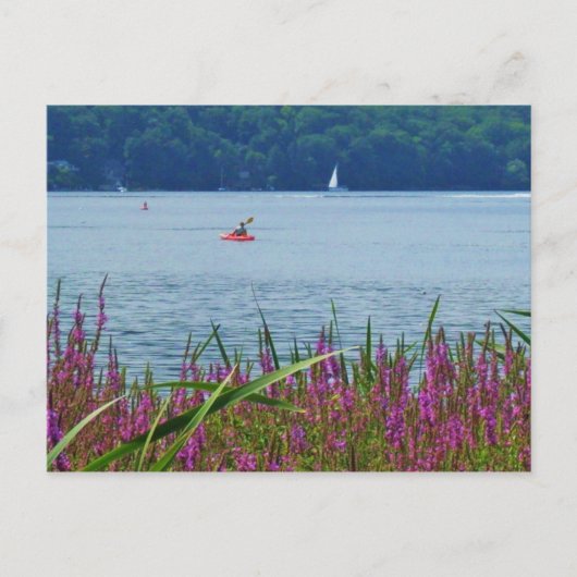 CARTE POSTALE CAYUGA LAKE, ITHACA, N.Y. (Devant)