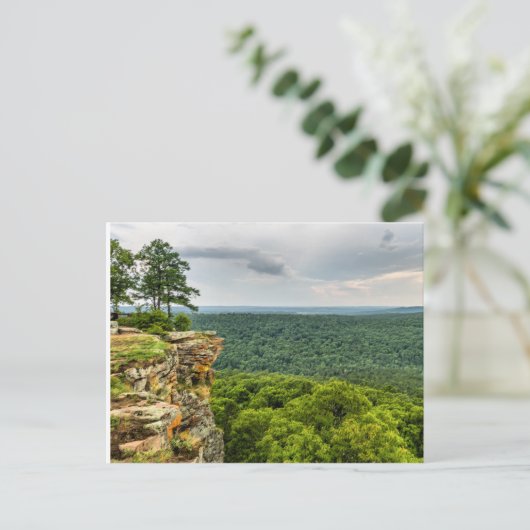 Carte Postale CCC Overlook Petit Jean (Debout devant)