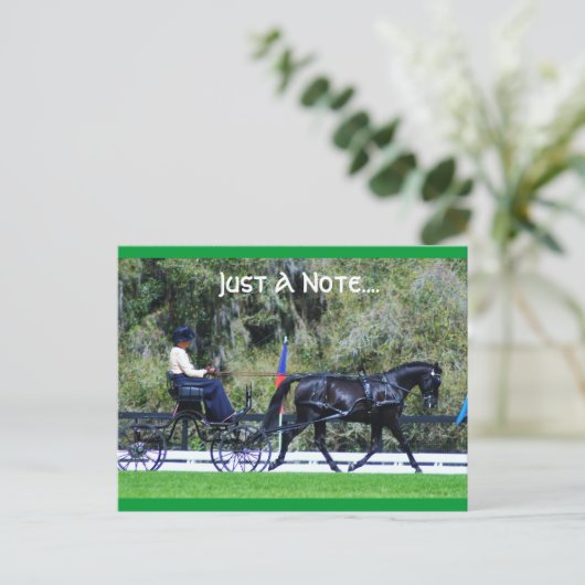 Carte Postale cde de chêne vivant (Debout devant)