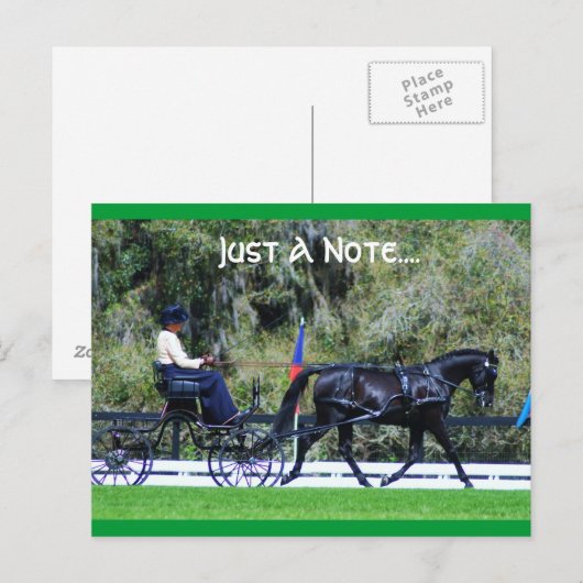 Carte Postale cde de chêne vivant (Devant / Derrière)