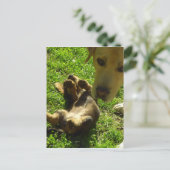 Carte Postale Ce n'était pas moi (Debout devant)