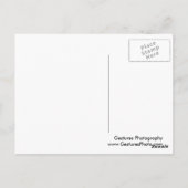 Carte Postale Ce Petit Chien (Dos)