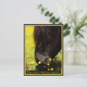 Carte Postale Ce pour quoi la bouche d'un cheval a été créée (Debout devant)