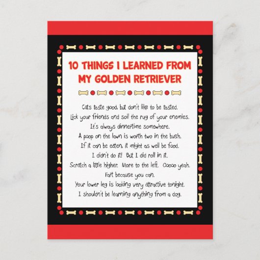 Carte Postale Ce Que J'Ai Appris De Mon Golden Retriever (Devant)
