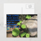 Carte Postale Ce qui se trouve sous les roches (Devant / Derrière)