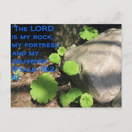 Carte Postale Ce qui se trouve sous les roches (Devant)