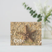 Carte Postale Cebu Philippines Starfish Brown (Debout devant)